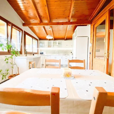 Tirana Experience, Authentic Stays In The Heart Of Old 티라나 외부 사진